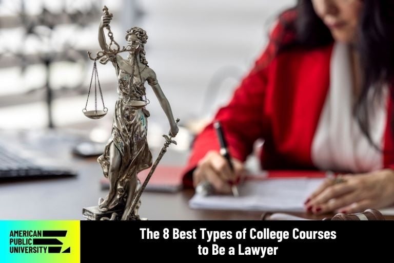 bachelor's degree program law school curriculum