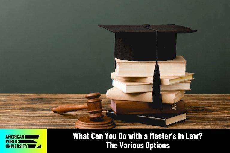 What Can You Do with a Master’s in Law? The Various Options American