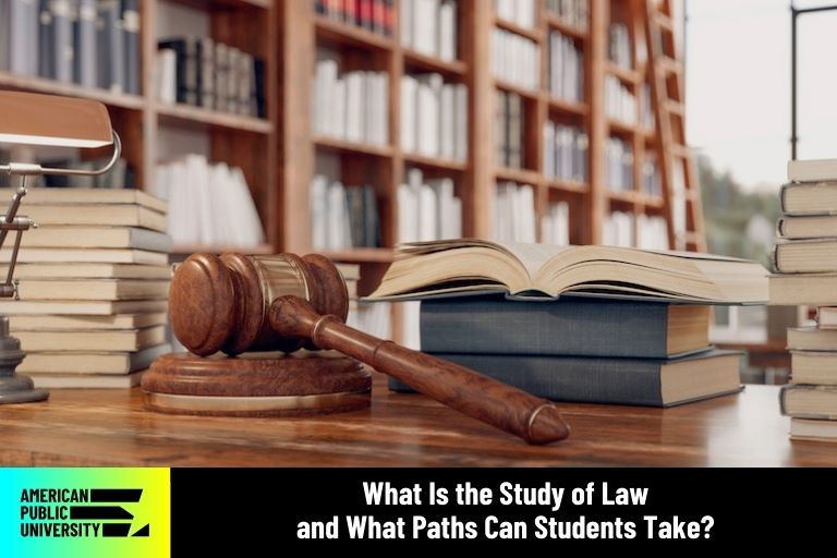 what is the study of law