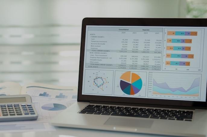 accounting software on computer screen