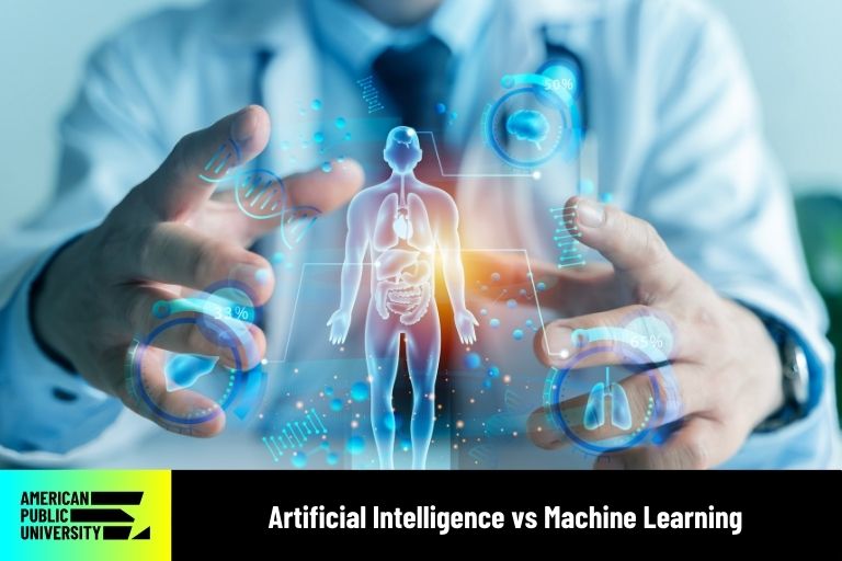 doctor using AI to look at digital human body
