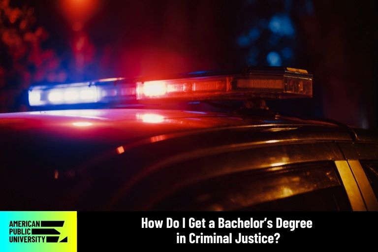 bachelor's degree in criminal justice