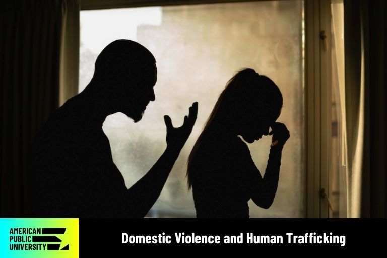 domestic-violence-human silhouettes of humans arguing