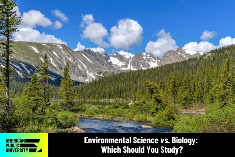 envs-vs-biology stream in wilderness