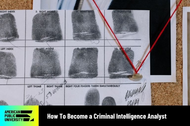 how-to-become-a-criminal-intelligence-analyst How to Become a Criminal Intelligence Analyst