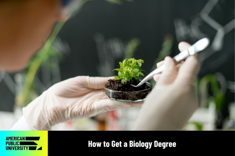 how-to-get-a-biology-degree-apu how to get a biology degree