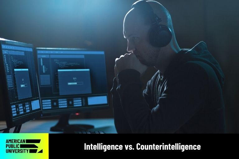 intelligence professional reviewing data on computer