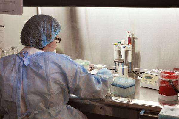 public health degree graduate working in lab
