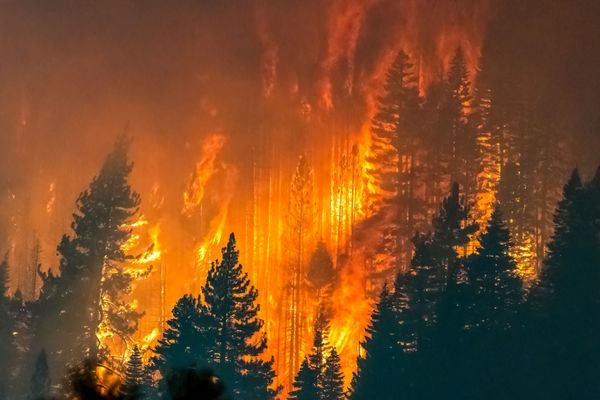 Fire Science degree graduates observing wildfire