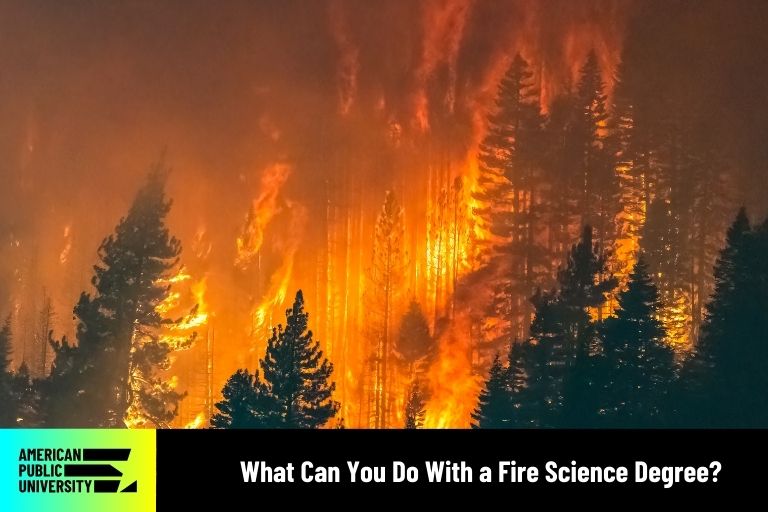 Fire Science degree graduates observing wildfire