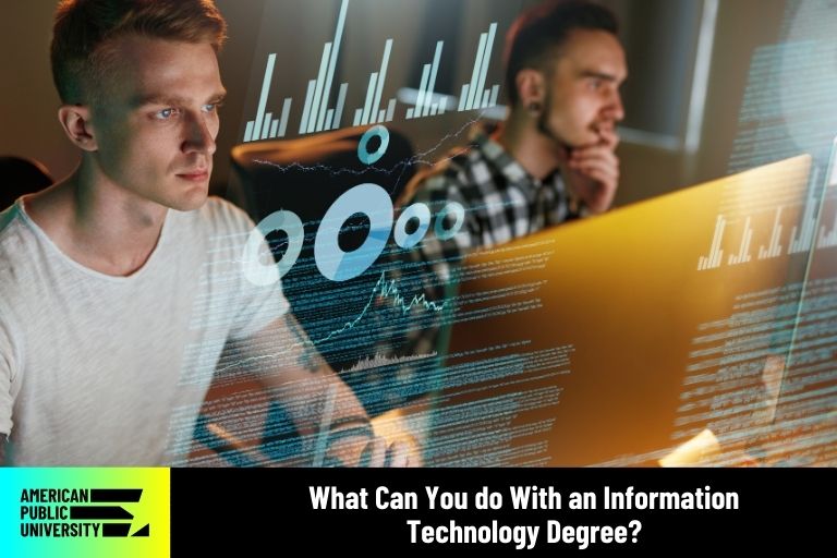what-can-you-do-with-an-information-technology-degree information technology professionals on computers