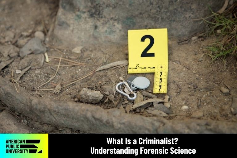 what-is-a-criminalist criminalist investigates crime scene with keys in dirt next to evidence marker number 2