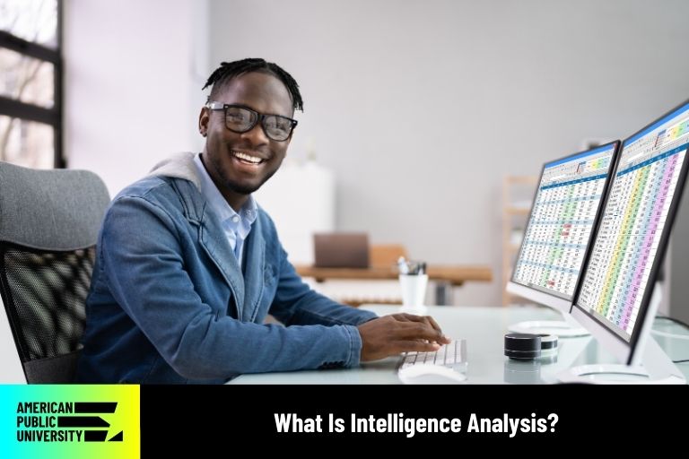 intelligence analyst working on computer