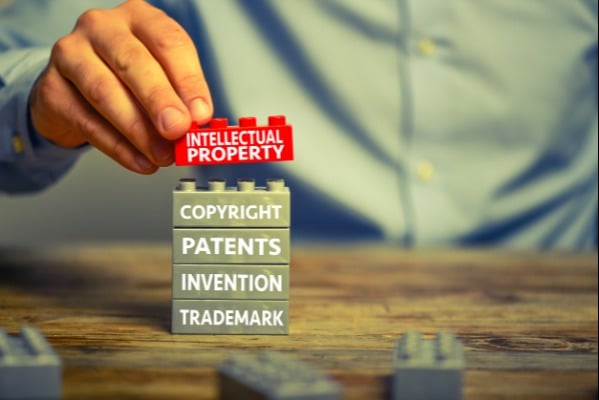 Intellectual property laws include privacy laws and copyright laws