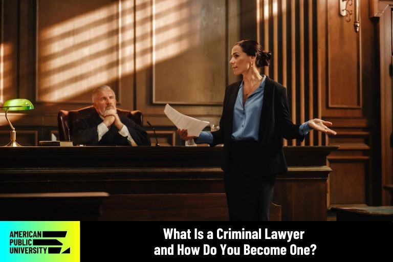 what is a criminal lawyer