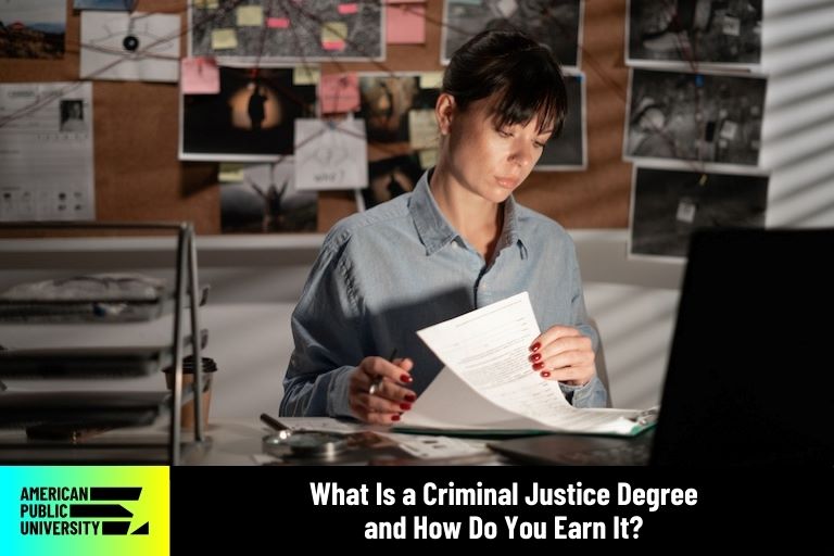 What Is a Criminal Justice Degree and How Do You Earn It | American ...