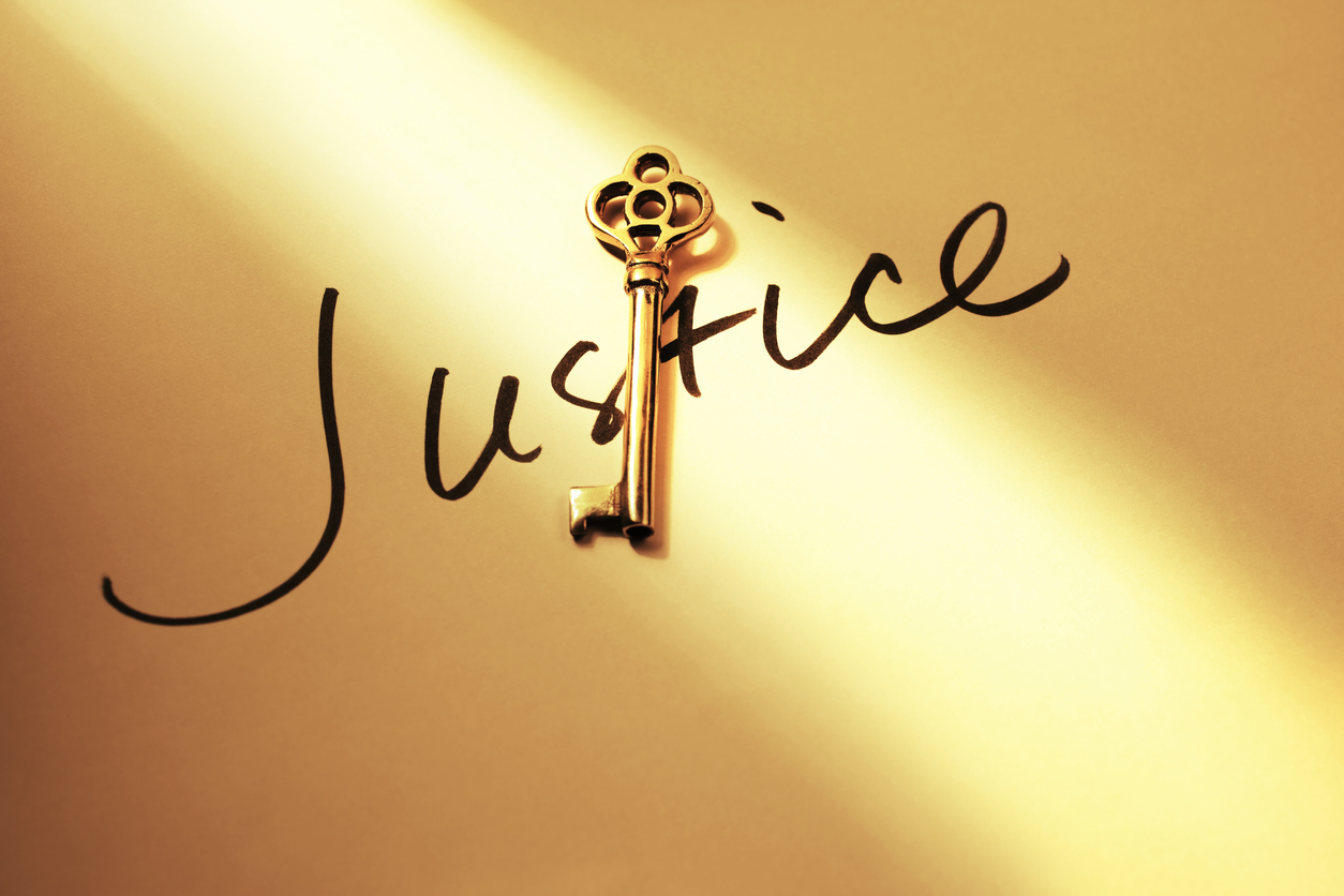 The ultimate goal of access to justice involves making legal assistance - and legal services - accessible to all at a reduced fee while ensuring equal access to lawyers and the courts.