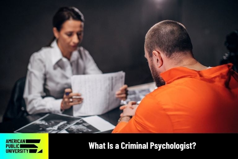 criminal psychologist