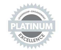 Platinum Chapter Standards Medal